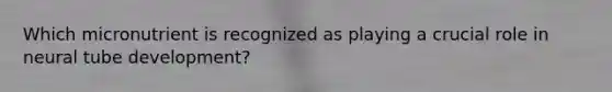Which micronutrient is recognized as playing a crucial role in neural tube development?
