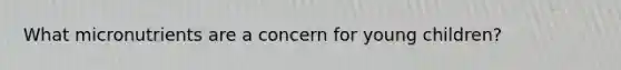 What micronutrients are a concern for young children?