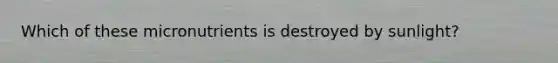 Which of these micronutrients is destroyed by sunlight?