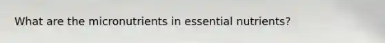 What are the micronutrients in essential nutrients?