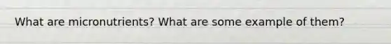 What are micronutrients? What are some example of them?