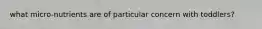 what micro-nutrients are of particular concern with toddlers?