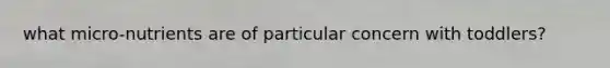 what micro-nutrients are of particular concern with toddlers?