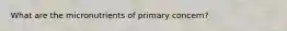 What are the micronutrients of primary concern?