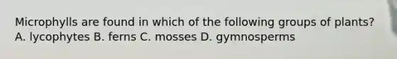 Microphylls are found in which of the following groups of plants? A. lycophytes B. ferns C. mosses D. gymnosperms