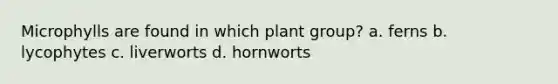 Microphylls are found in which plant group? a. ferns b. lycophytes c. liverworts d. hornworts