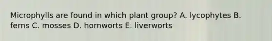 Microphylls are found in which plant group? A. lycophytes B. ferns C. mosses D. hornworts E. liverworts