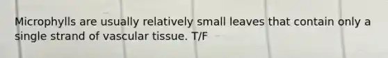 Microphylls are usually relatively small leaves that contain only a single strand of <a href='https://www.questionai.com/knowledge/k1HVFq17mo-vascular-tissue' class='anchor-knowledge'>vascular tissue</a>. T/F