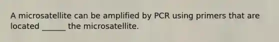 A microsatellite can be amplified by PCR using primers that are located ______ the microsatellite.