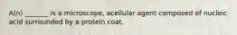 A(n) _______ is a microscope, acellular agent composed of nucleic acid surrounded by a protein coat.