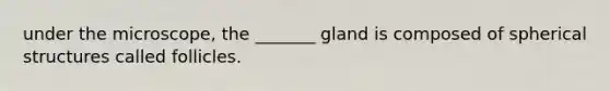 under the microscope, the _______ gland is composed of spherical structures called follicles.