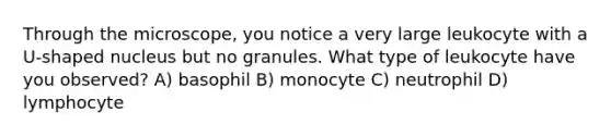 Through the microscope, you notice a very large leukocyte with a U-shaped nucleus but no granules. What type of leukocyte have you observed? A) basophil B) monocyte C) neutrophil D) lymphocyte