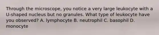 Through the microscope, you notice a very large leukocyte with a U-shaped nucleus but no granules. What type of leukocyte have you observed? A. lymphocyte B. neutrophil C. basophil D. monocyte