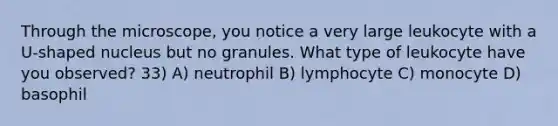 Through the microscope, you notice a very large leukocyte with a U-shaped nucleus but no granules. What type of leukocyte have you observed? 33) A) neutrophil B) lymphocyte C) monocyte D) basophil