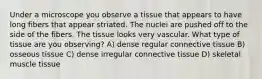 Under a microscope you observe a tissue that appears to have long fibers that appear striated. The nuclei are pushed off to the side of the fibers. The tissue looks very vascular. What type of tissue are you observing? A) dense regular connective tissue B) osseous tissue C) dense irregular connective tissue D) skeletal muscle tissue