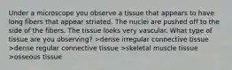 Under a microscope you observe a tissue that appears to have long fibers that appear striated. The nuclei are pushed off to the side of the fibers. The tissue looks very vascular. What type of tissue are you observing? >dense irregular connective tissue >dense regular connective tissue >skeletal muscle tissue >osseous tissue