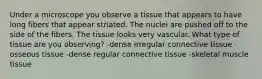 Under a microscope you observe a tissue that appears to have long fibers that appear striated. The nuclei are pushed off to the side of the fibers. The tissue looks very vascular. What type of tissue are you observing? -dense irregular connective tissue -osseous tissue -dense regular connective tissue -skeletal muscle tissue