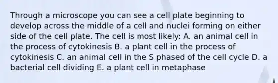 Through a microscope you can see a cell plate beginning to develop across the middle of a cell and nuclei forming on either side of the cell plate. The cell is most likely: A. an animal cell in the process of cytokinesis B. a plant cell in the process of cytokinesis C. an animal cell in the S phased of the cell cycle D. a bacterial cell dividing E. a plant cell in metaphase