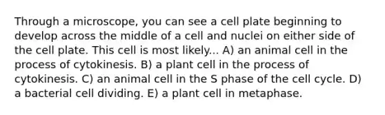 Through a microscope, you can see a cell plate beginning to develop across the middle of a cell and nuclei on either side of the cell plate. This cell is most likely... A) an animal cell in the process of cytokinesis. B) a plant cell in the process of cytokinesis. C) an animal cell in the S phase of the cell cycle. D) a bacterial cell dividing. E) a plant cell in metaphase.