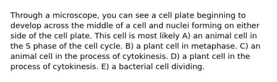 Through a microscope, you can see a cell plate beginning to develop across the middle of a cell and nuclei forming on either side of the cell plate. This cell is most likely A) an animal cell in the S phase of the <a href='https://www.questionai.com/knowledge/keQNMM7c75-cell-cycle' class='anchor-knowledge'>cell cycle</a>. B) a plant cell in metaphase. C) an animal cell in the process of cytokinesis. D) a plant cell in the process of cytokinesis. E) a bacterial cell dividing.