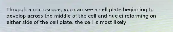 Through a microscope, you can see a cell plate beginning to develop across the middle of the cell and nuclei reforming on either side of the cell plate. the cell is most likely