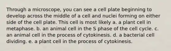 Through a microscope, you can see a cell plate beginning to develop across the middle of a cell and nuclei forming on either side of the cell plate. This cell is most likely a. a plant cell in metaphase. b. an animal cell in the S phase of the <a href='https://www.questionai.com/knowledge/keQNMM7c75-cell-cycle' class='anchor-knowledge'>cell cycle</a>. c. an animal cell in the process of cytokinesis. d. a bacterial cell dividing. e. a plant cell in the process of cytokinesis.