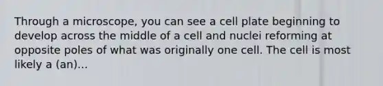 Through a microscope, you can see a cell plate beginning to develop across the middle of a cell and nuclei reforming at opposite poles of what was originally one cell. The cell is most likely a (an)...