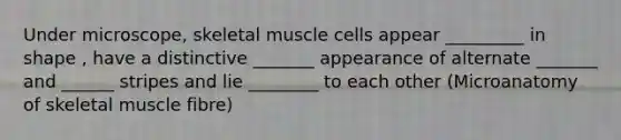 Under microscope, skeletal muscle cells appear _________ in shape , have a distinctive _______ appearance of alternate _______ and ______ stripes and lie ________ to each other (Microanatomy of skeletal muscle fibre)