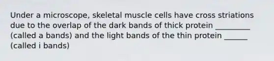 Under a microscope, skeletal muscle cells have cross striations due to the overlap of the dark bands of thick protein _________ (called a bands) and the light bands of the thin protein ______ (called i bands)