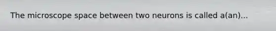 The microscope space between two neurons is called a(an)...