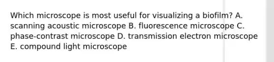 Which microscope is most useful for visualizing a biofilm? A. scanning acoustic microscope B. fluorescence microscope C. phase-contrast microscope D. transmission electron microscope E. compound light microscope