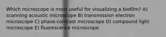 Which microscope is most useful for visualizing a biofilm? A) scanning acoustic microscope B) transmission electron microscope C) phase-contrast microscope D) compound light microscope E) fluorescence microscope