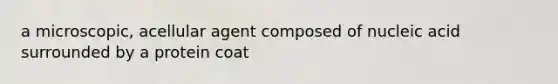 a microscopic, acellular agent composed of nucleic acid surrounded by a protein coat