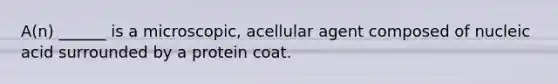 A(n) ______ is a microscopic, acellular agent composed of nucleic acid surrounded by a protein coat.