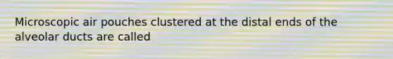 Microscopic air pouches clustered at the distal ends of the alveolar ducts are called