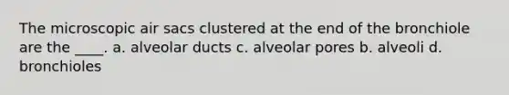 The microscopic air sacs clustered at the end of the bronchiole are the ____. a. alveolar ducts c. alveolar pores b. alveoli d. bronchioles