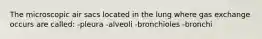 The microscopic air sacs located in the lung where gas exchange occurs are called: -pleura -alveoli -bronchioles -bronchi