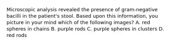 Microscopic analysis revealed the presence of gram-negative bacilli in the patient's stool. Based upon this information, you picture in your mind which of the following images? A. red spheres in chains B. purple rods C. purple spheres in clusters D. red rods