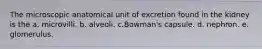 The microscopic anatomical unit of excretion found in the kidney is the a. microvilli. b. alveoli. c.Bowman's capsule. d. nephron. e. glomerulus.
