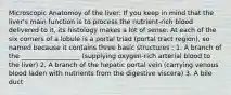 Microscopic Anatomoy of the liver: If you keep in mind that the liver's main function is to process the nutrient-rich blood delivered to it, its histology makes a lot of sense. At each of the six corners of a lobule is a portal triad (portal tract region), so named because it contains three basic structures : 1. A branch of the __________________ (supplying oxygen-rich arterial blood to the liver) 2. A branch of the hepatic portal vein (carrying venous blood laden with nutrients from the digestive viscera) 3. A bile duct