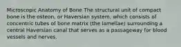 Microscopic Anatomy of Bone The structural unit of compact bone is the osteon, or Haversian system, which consists of concentric tubes of bone matrix (the lamellae) surrounding a central Haversian canal that serves as a passageway for blood vessels and nerves.