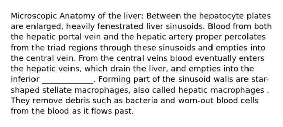 Microscopic Anatomy of the liver: Between the hepatocyte plates are enlarged, heavily fenestrated liver sinusoids. Blood from both the hepatic portal vein and the hepatic artery proper percolates from the triad regions through these sinusoids and empties into the central vein. From the central veins blood eventually enters the hepatic veins, which drain the liver, and empties into the inferior _____________. Forming part of the sinusoid walls are star-shaped stellate macrophages, also called hepatic macrophages . They remove debris such as bacteria and worn-out blood cells from the blood as it flows past.