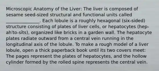 Microscopic Anatomy of the Liver: The liver is composed of sesame seed-sized structural and functional units called _______________. Each lobule is a roughly hexagonal (six-sided) structure consisting of plates of liver cells, or hepatocytes (hep-ah′to-sīts), organized like bricks in a garden wall. The hepatocyte plates radiate outward from a central vein running in the longitudinal axis of the lobule. To make a rough model of a liver lobule, open a thick paperback book until its two covers meet: The pages represent the plates of hepatocytes, and the hollow cylinder formed by the rolled spine represents the central vein.