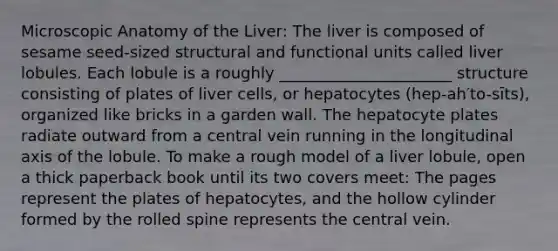 Microscopic Anatomy of the Liver: The liver is composed of sesame seed-sized structural and functional units called liver lobules. Each lobule is a roughly ______________________ structure consisting of plates of liver cells, or hepatocytes (hep-ah′to-sīts), organized like bricks in a garden wall. The hepatocyte plates radiate outward from a central vein running in the longitudinal axis of the lobule. To make a rough model of a liver lobule, open a thick paperback book until its two covers meet: The pages represent the plates of hepatocytes, and the hollow cylinder formed by the rolled spine represents the central vein.