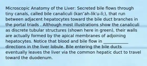 Microscopic Anatomy of the Liver: Secreted bile flows through tiny canals, called bile canaliculi (kan″ah-lik′u-li;), that run between adjacent hepatocytes toward the bile duct branches in the portal triads . Although most illustrations show the canaliculi as discrete tubular structures (shown here in green), their walls are actually formed by the apical membranes of adjoining hepatocytes. Notice that blood and bile flow in ____________ directions in the liver lobule. Bile entering the bile ducts eventually leaves the liver via the common hepatic duct to travel toward the duodenum.