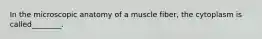 In the microscopic anatomy of a muscle fiber, the cytoplasm is called________.