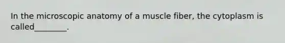 In the microscopic anatomy of a muscle fiber, the cytoplasm is called________.