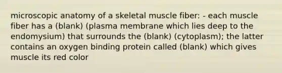 microscopic anatomy of a skeletal muscle fiber: - each muscle fiber has a (blank) (plasma membrane which lies deep to the endomysium) that surrounds the (blank) (cytoplasm); the latter contains an oxygen binding protein called (blank) which gives muscle its red color