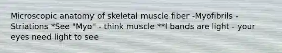 Microscopic anatomy of skeletal muscle fiber -Myofibrils -Striations *See "Myo" - think muscle **I bands are light - your eyes need light to see