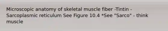 Microscopic anatomy of skeletal muscle fiber -Tintin -Sarcoplasmic reticulum See Figure 10.4 *See "Sarco" - think muscle